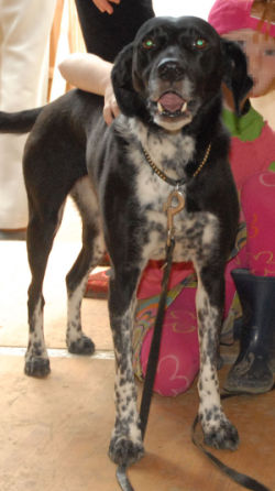 2004-Isabella-HE04-1