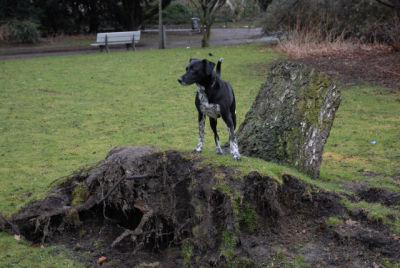 2004-Isabella-HE04-2