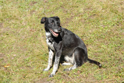 2004-Isabella-HE04-3