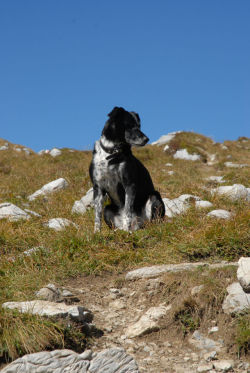 2004-Isabella-HE04-4