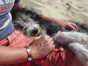 Amy-Lea-HE19 Amy-Lea-HE19