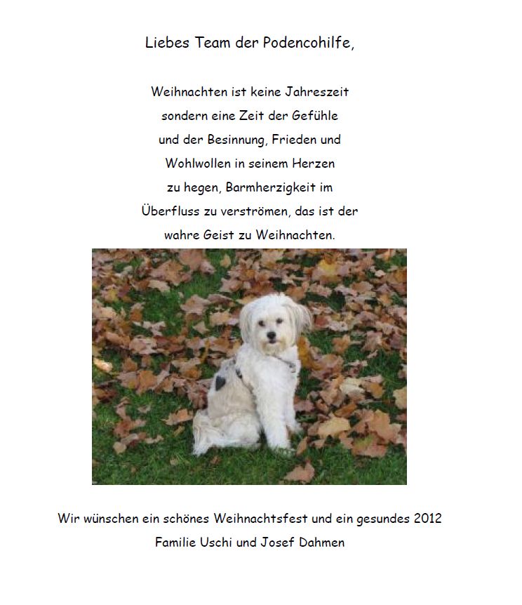 Anschi-Weihnachten11