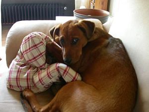 Debbie06_Emma10 Debbie06_Emma10