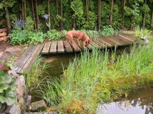 Debbie06_Emma_Bruecke