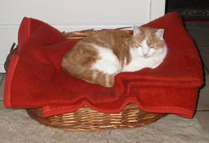 Debbie06_Emma_Felix Debbie06_Emma_Felix