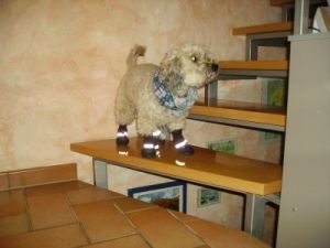 Dulce-Fine-2010-1-HE05