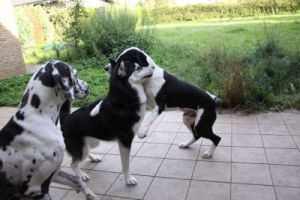 Eyla-Nana-beste Freudinnen-Lady+Majatou