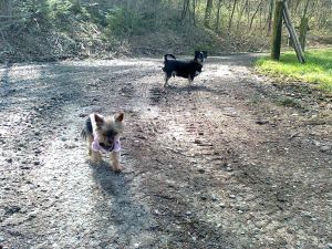 HE-Ilja-Lukas-13 HE-Ilja-Lukas-13