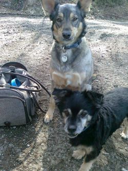 HE-Ilja-Lukas-14 HE-Ilja-Lukas-14