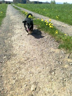 HE-Ilja-Lukas-15 HE-Ilja-Lukas-15