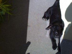 Jos� Balkon -s��!-HE05