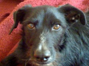 Jos� Portrait-HE05