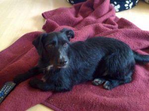 Jos� auf der roten Decke-HE05