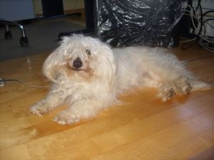 Jule06-HE13 Jule06-HE13