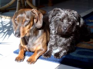 Jule06-HE14 Jule06-HE14