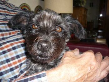 Jule06-HE18 Jule06-HE18