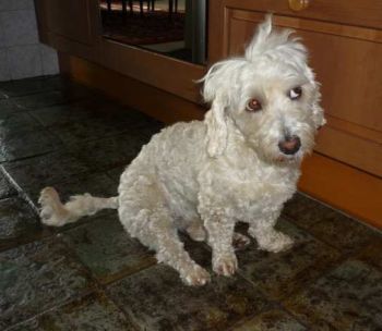 Jule06-HE19 Jule06-HE19