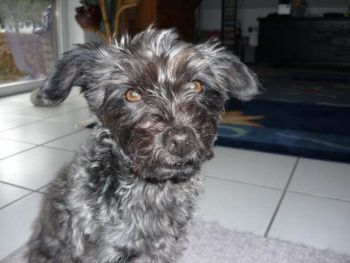 Jule06-HE21 Jule06-HE21