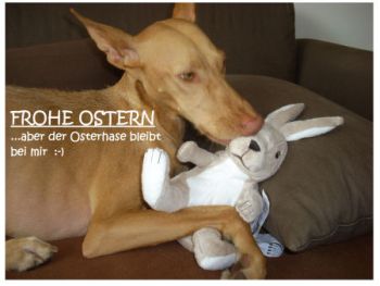 Ana-Ostern-2011