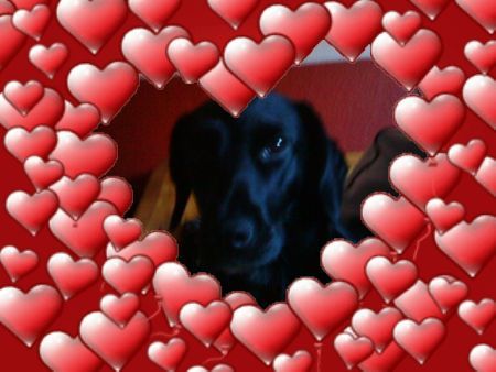 Babsi06 (Happy)1 Babsi06 (Happy)1