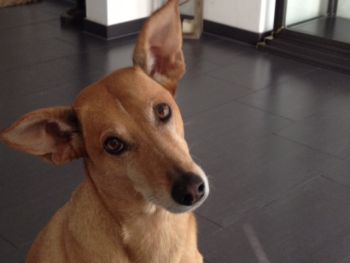 Banja_Othello-HE2005-6