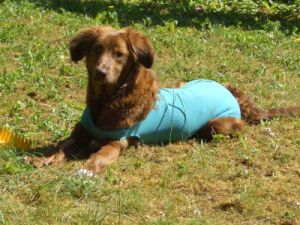 Bine im gruenen Body-2011