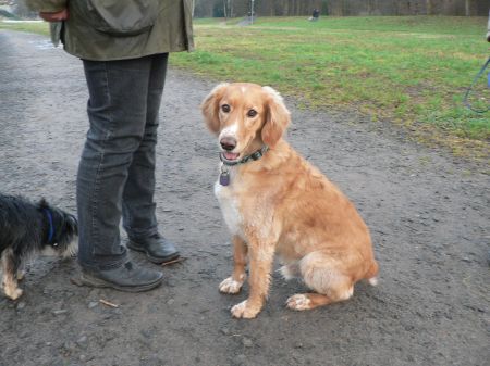 Caramello010763-HE05 Caramello010763-HE05