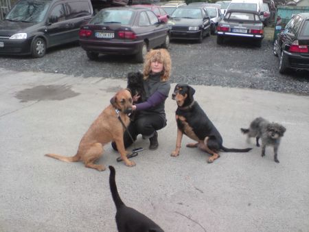 Carlos-Toli-HE1 Carlos-Toli-HE1