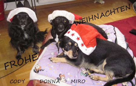 Cody09-Weihnachten11 Cody09-Weihnachten11