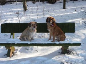 Conte und Benito-2010-8