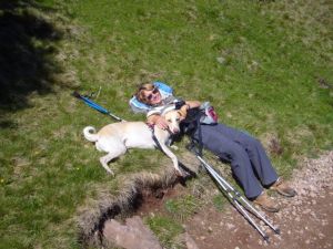 Dingo mit FrauchenHE05