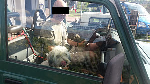 Dulce-Fine-2010-10-HE05