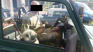 Dulce-Fine-2010-11-HE05