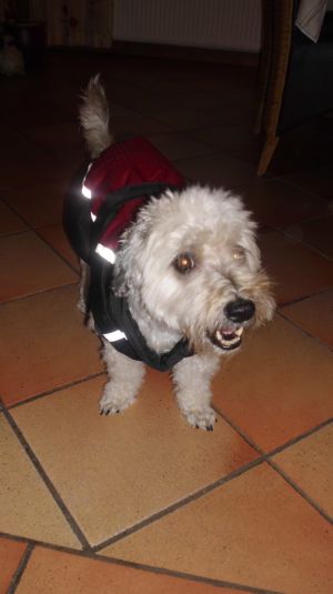 Dulce-Fine-2010-7-HE05