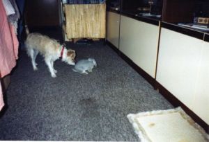 Emily-Gabriela-05-HE2