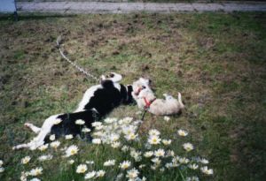 Emily-Gabriela-05-HE3