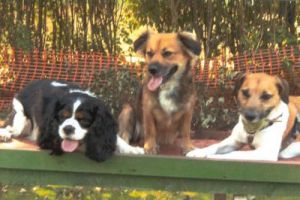 Emma-Nelly3-meine Freunde Ticci&Carlos-HE07