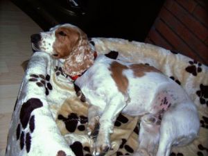 Julius-Cocker-HE05-1