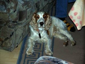 Julius-Cocker-HE05-2