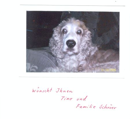 Julius-Cocker-HE05-3