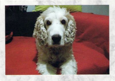 Julius-Cocker-HE05-6