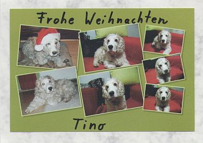 Julius-Cocker-HE05-7