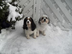 Lena-2005-10-01-HE05