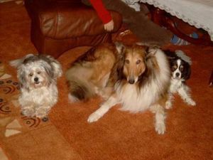 Lena_mit_ihren_Lieben-HE05