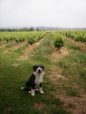 Lisa_Loona-27.02.09-14