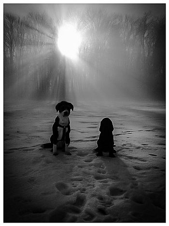 Lisa_Loona-27.02.09-17