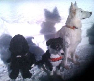 Lisa_Loona-27.02.09-6