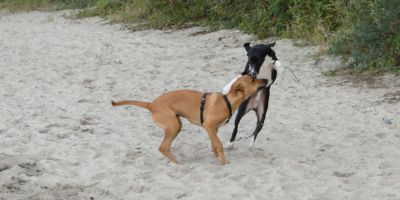 Maja_Meike4 Maja_Meike4