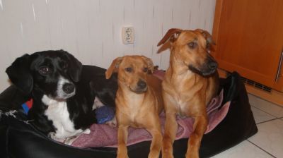 Maja_Meike5 Maja_Meike5