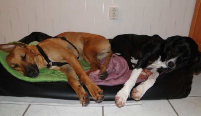 Maja_Meike_6 Maja_Meike_6